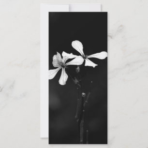 Tarjeta floral blanca y negra mínima