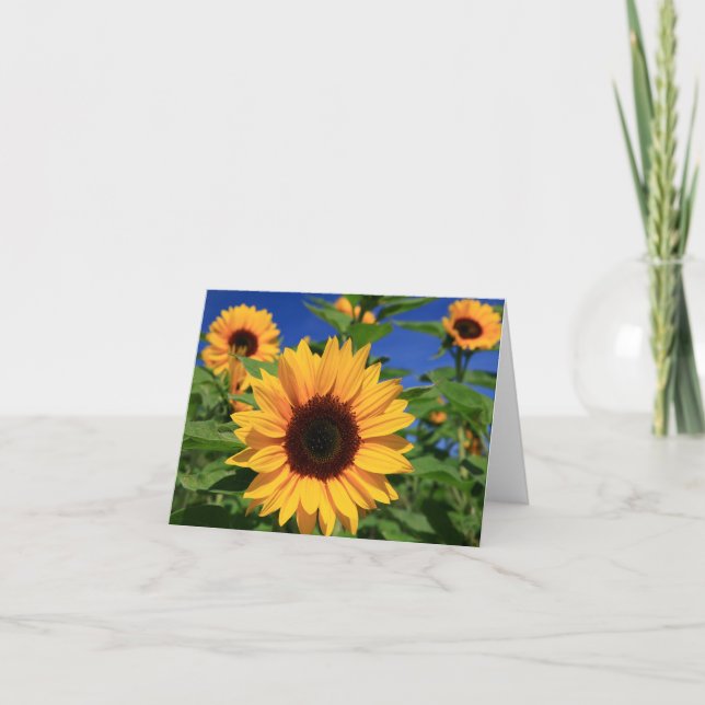 Tarjeta Floral blanco amarillo girasol notecard (Anverso)