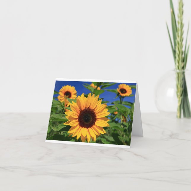 Tarjeta Floral blanco amarillo girasol notecard (Anverso)