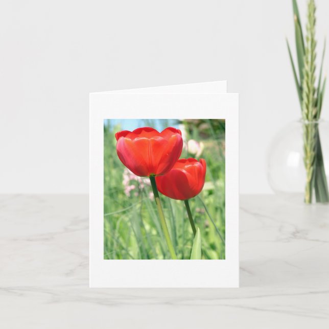 Tarjeta Floral Blank Notecard (Anverso)