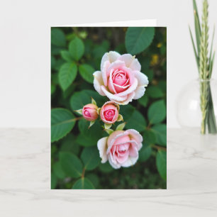 Tarjeta Floral Bloom Flor de Cerezo Rosa