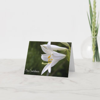Tarjeta Floral Condolences