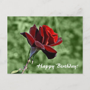 Tarjeta Floral Cumpleaños Rosa Roja 