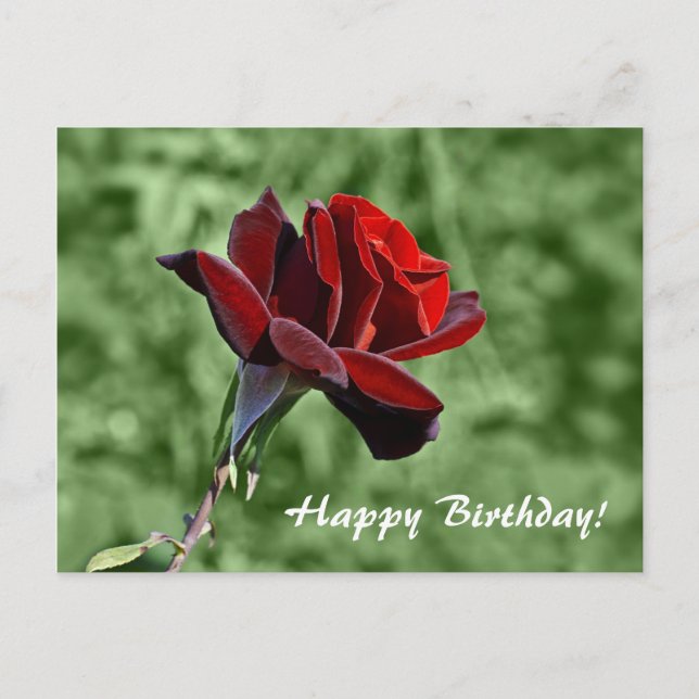 Tarjeta Floral Cumpleaños Rosa Roja  (Anverso)