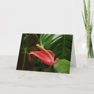 Tarjeta Floral de Calla Rosa Lily Elegant