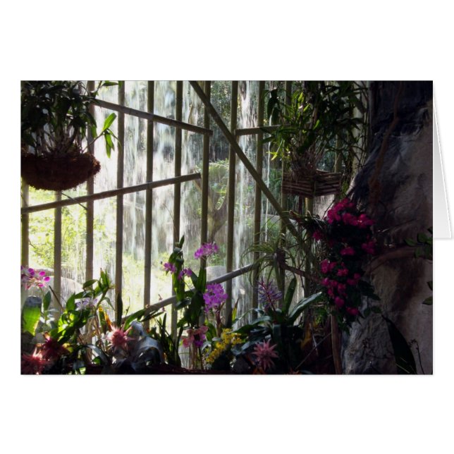 Tarjeta Floral de cascada (Anverso (Horizontal))