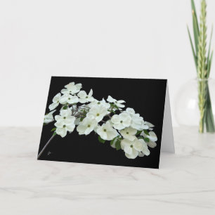 Tarjeta Floral de dogwood blanca en blanco para todas las 