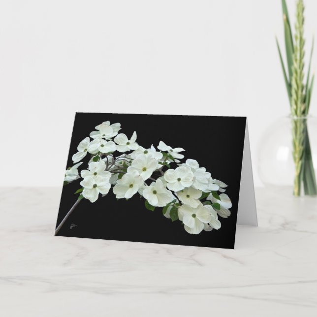 Tarjeta Floral de dogwood blanca en blanco para todas las  (Anverso)