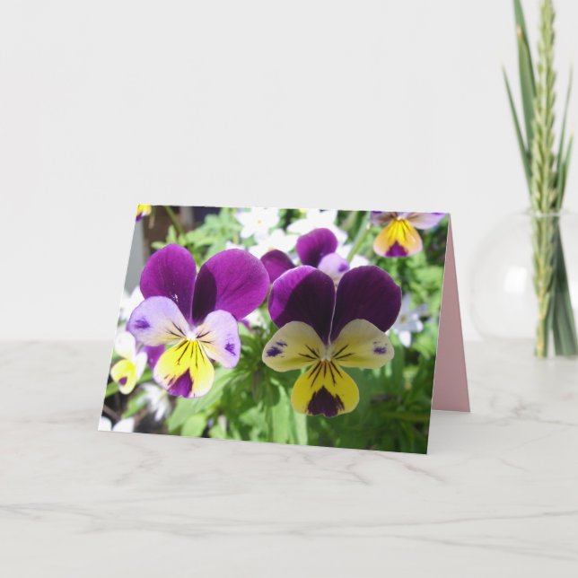Tarjeta floral de flor bonita violeta viola pensam (Anverso)