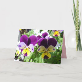 Tarjeta floral de flor de pensamiento Viola morada