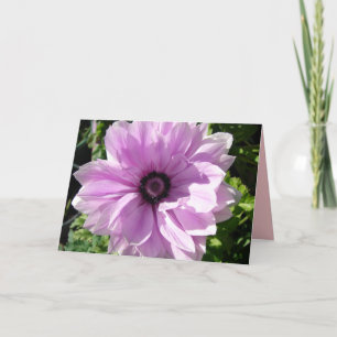 Tarjeta floral de flor de primavera Ranunculus púr