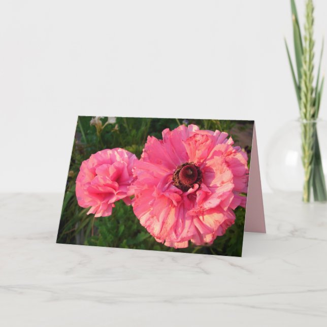 Tarjeta floral de flor de primavera Ranunculus ros (Anverso)