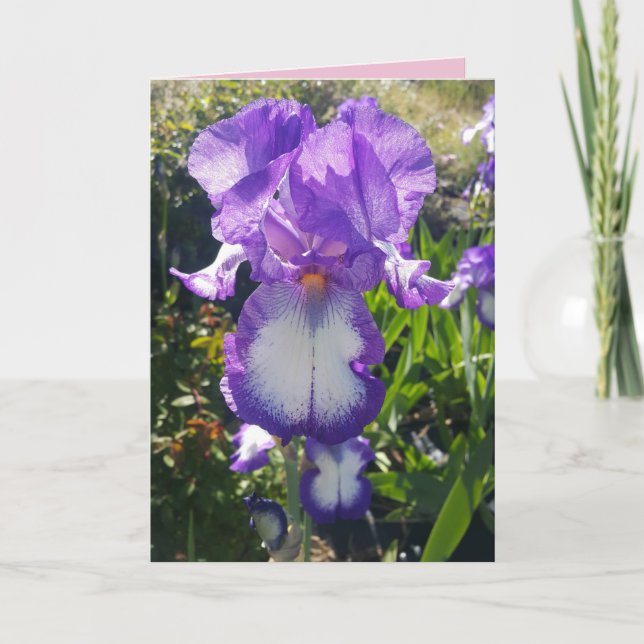 Tarjeta floral de flores de Iris Barbudo Azul y Bl (Anverso)