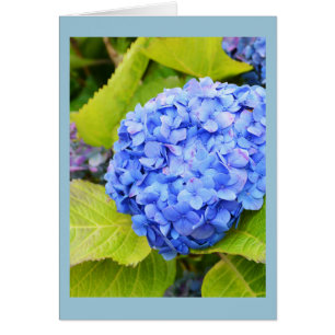 Tarjeta floral de hidrangea azul