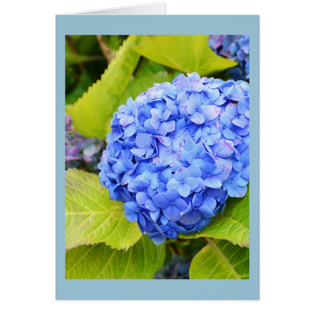 Tarjeta floral de hidrangea azul (Frente)