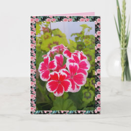 Tarjeta floral de jardín de flores de Geranio Pela