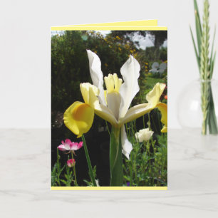 Tarjeta floral de lirios amarillos del jardín de c
