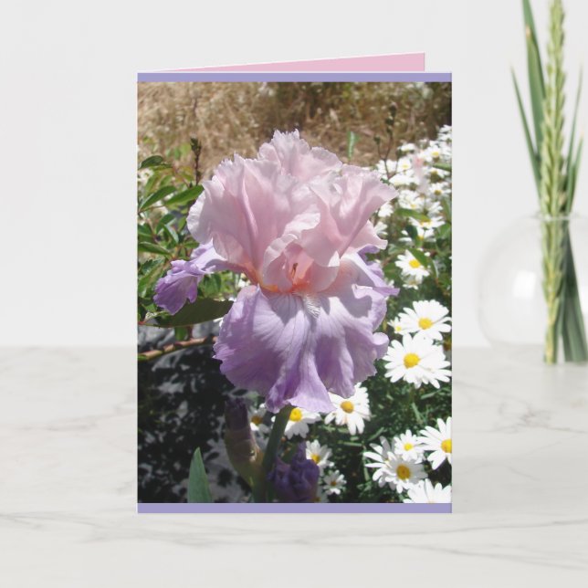 Tarjeta floral de lirios de Iris púrpura de jardín (Anverso)