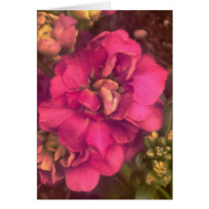 tarjeta floral de pasión rosa caliente (interior e