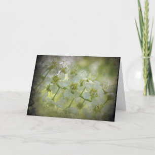 Tarjeta Floral de primavera