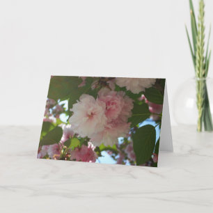 Tarjeta Floral de primavera del árbol de cerezo doble flor