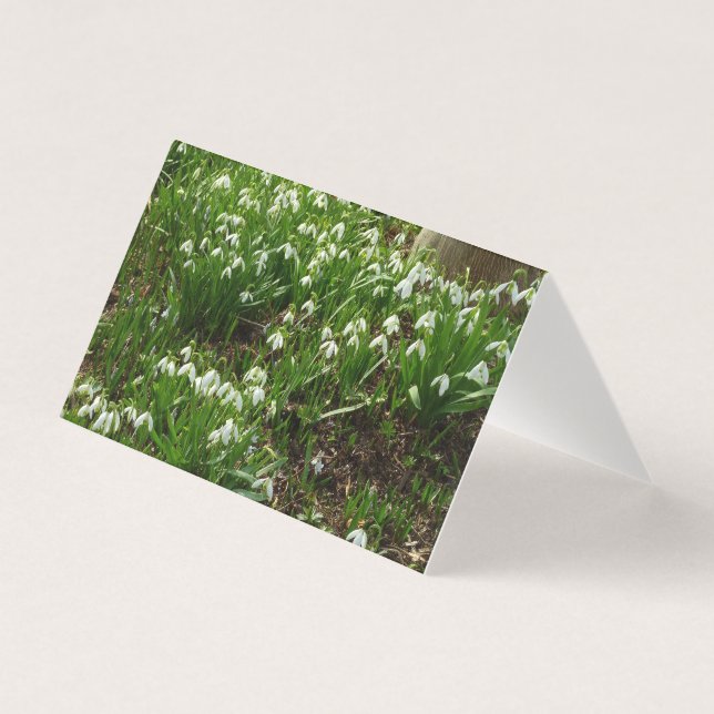 Tarjeta Floral de primavera (Galanthus) (Anverso)