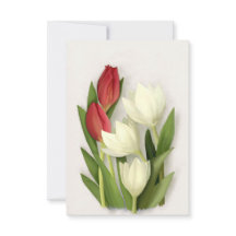 Floral de tulipanes rojos y blancos