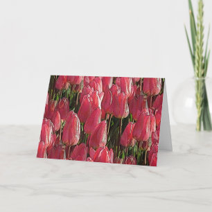 Tarjeta Floral de tulipanes rosados