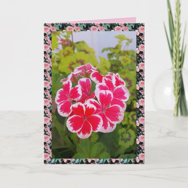 Tarjeta floral Geranium Pelargonium Flower Garden (Anverso)
