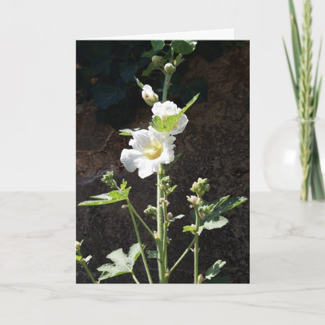 Tarjeta floral Hollyhocks (Anverso)
