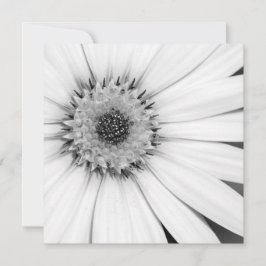 Tarjeta Floral monocroma de margarita africana
