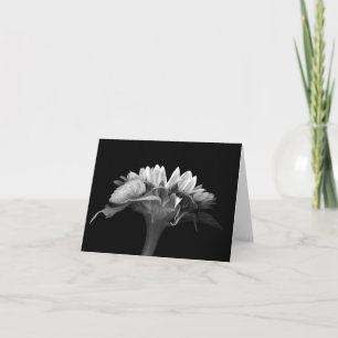 Tarjeta Floral Note Card Silver Sunflower