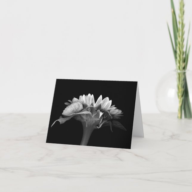 Tarjeta Floral Note Card Silver Sunflower (Anverso)
