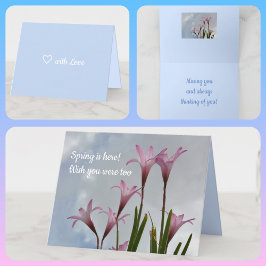 Tarjeta Floral Pastel Pink Rain Lilies Springtime