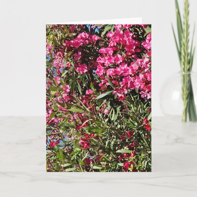 Tarjeta Floral rosa (Anverso)