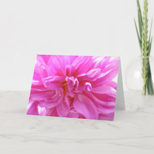 Tarjeta floral rosa Dahlia Blank