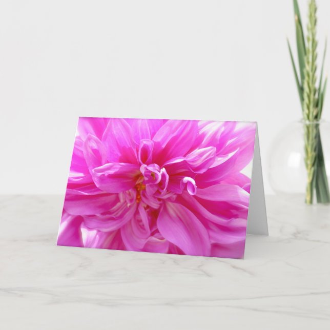 Tarjeta floral rosa Dahlia Blank (Anverso)
