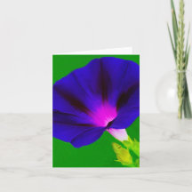 Floral Rosa-Púrpura