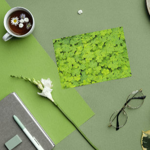 Tarjeta Floral verde de Shamrock St Patrick's Day