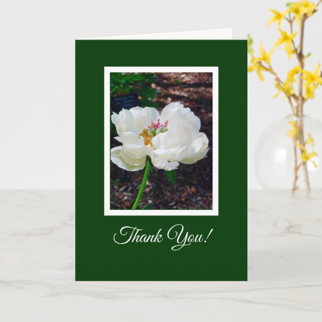 Tarjeta Floral/ White Peony/ Gracias (flor amarilla)
