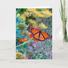 Tarjeta Floral y mariposa de colores escénicos