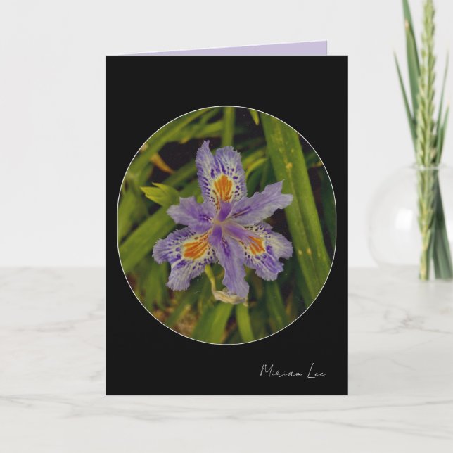 Tarjeta florecer en púrpura (Anverso)