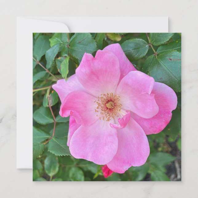 Tarjeta Floreciente bienvenida de cumpleaños con flores ro (Anverso)