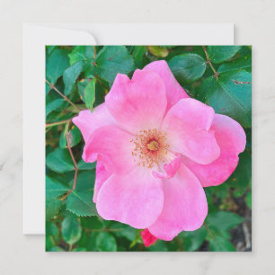 Tarjeta Floreciente bienvenida de cumpleaños con flores ro