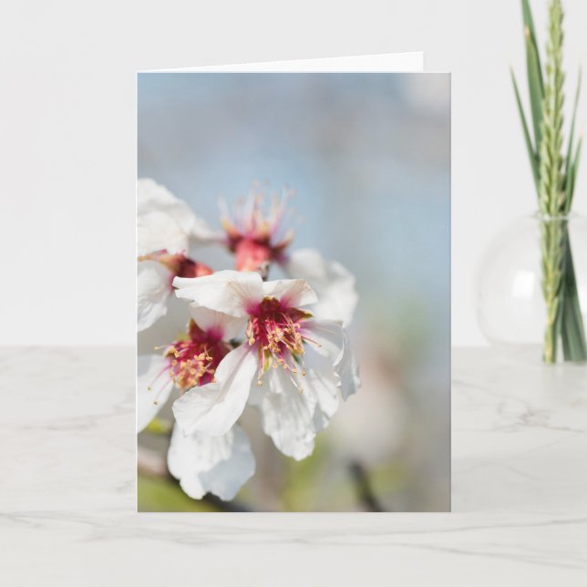 Tarjeta Florecimiento de almendra (Anverso)