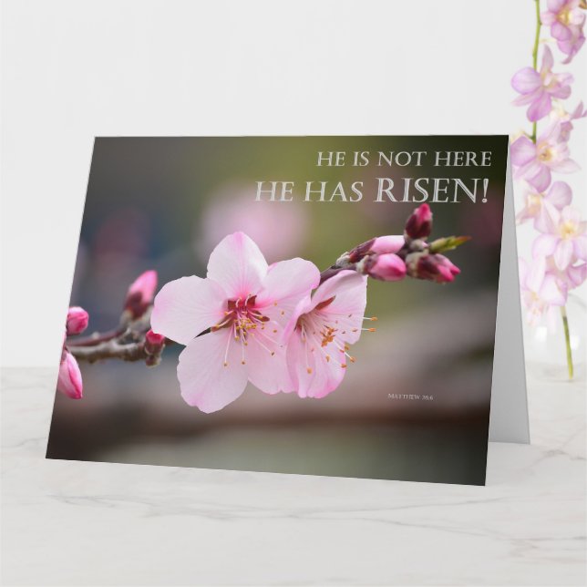 Tarjeta Florecimiento De Cerezo De Pascua Se Ha Levantado  (Orquídea)