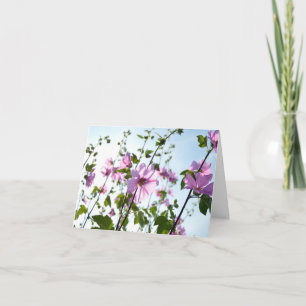 Tarjeta Florecimiento de malvaviscos de árbol en verano