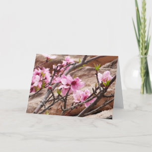 Tarjeta Florecimiento de primavera en las rocas del Zion