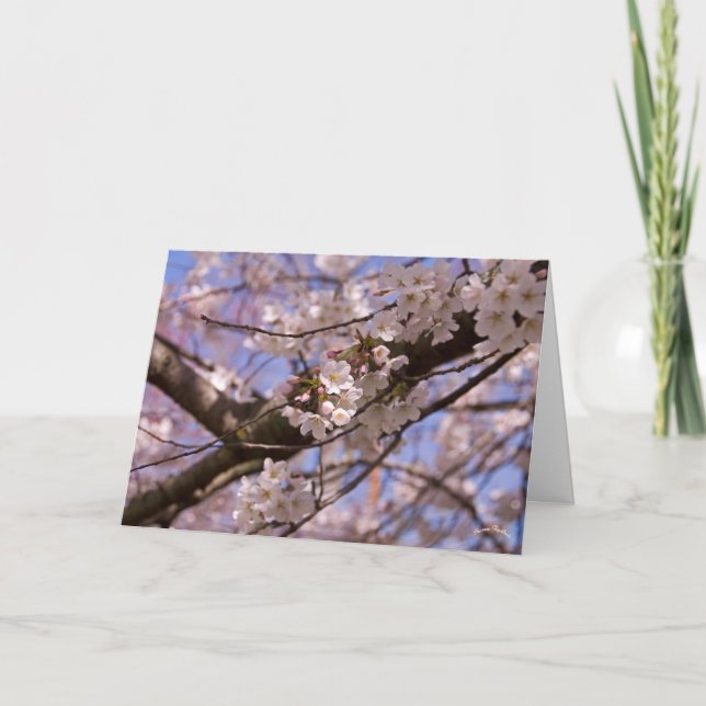 Tarjeta Florecimiento del Día de la Madre (Anverso)