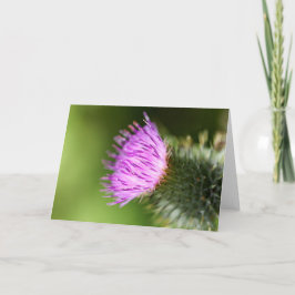 Tarjeta Florecimiento doble de cerezo rosa en primavera de